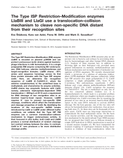 The Type ISP Restriction&ndash;Modification enzymes LlaBIII and LlaGI