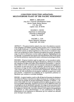 loma11um dissectum - Society of Ethnobiology