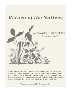 Return of the Natives