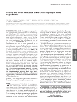 Sensory and Motor Innervation of the Crural Diaphragm by the