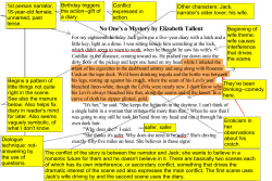 No One`s a Mystery by Elizabeth Tallent