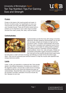 Ten Top Nutrition Tips For Gaining Size and Strength