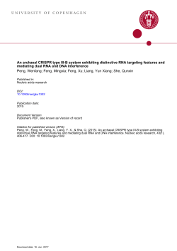 An archaeal CRISPR type III-B system exhibiting distinctive RNA