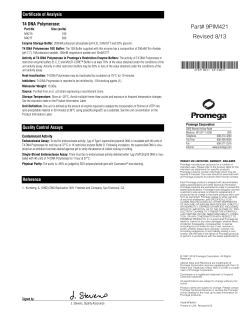 T4 DNA Polymerase Product Information