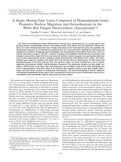 A Single Mating-Type Locus Composed of Homeodomain Genes