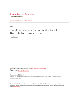 The ultrastructure of the nuclear division of Basidiobolus ranarum