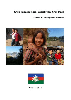 Child Focused Local Social Plan, Chin State