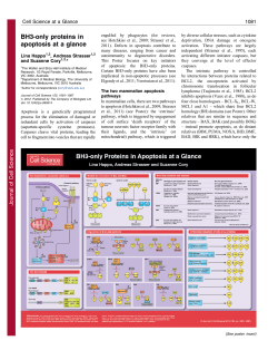 BH3-only proteins in apoptosis at a glance