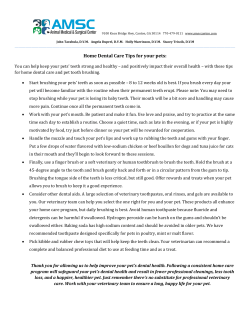 Home Dental Care Tips for your pets: