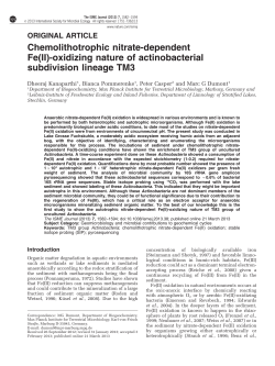 Chemolithotrophic nitrate-dependent Fe(II)