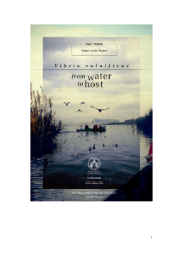 TESIS COMPLETA_Miguel_Carda