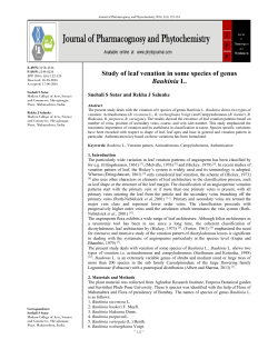 Study of leaf venation in some species of genus Bauhinia L.
