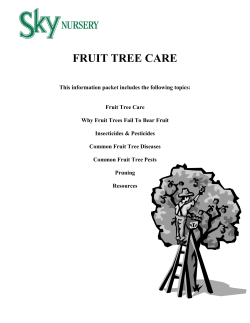 Fruit Tree Care