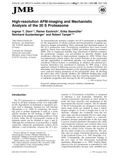High-resolution AFM-imaging and Mechanistic Analysis of the 20 S