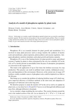 Analysis of a model of phosphorus uptake by plant roots