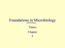 Chapter 5