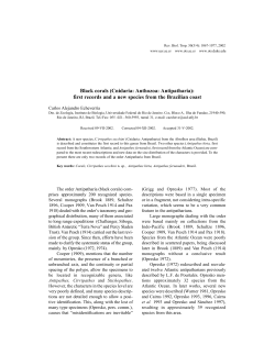 Black corals (Cnidaria: Anthozoa: Antipatharia): first records