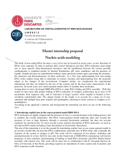 Master internship proposal Nucleic acids modeling