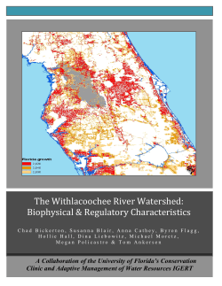 The Withlacoochee River Watershed