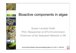 Bioactive components in algae