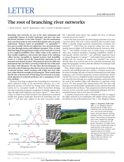 The root of branching river networks