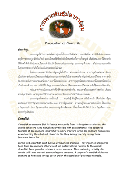 fffffffffffffffffffff fffffffffffffffffffff fffffffffffffff