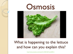 Santiago-Blay Osmosis