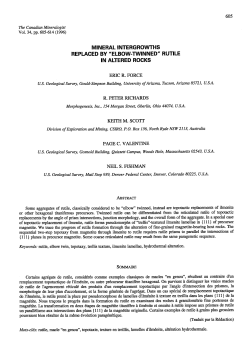 mineral intergrowths replaced by "elbow.twinned" rutile in