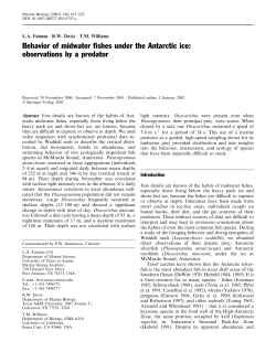 Behavior of midwater fishes under the Antarctic ice