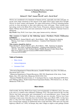 Tolerance by Denning Wolves, Canis lupus, to Human Disturbance