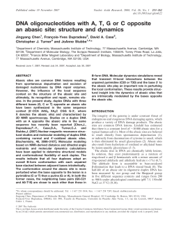 DNA oligonucleotides with A, T, G or C opposite an abasic site
