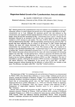 Magnesium-limited Growth of the C yanobacterium