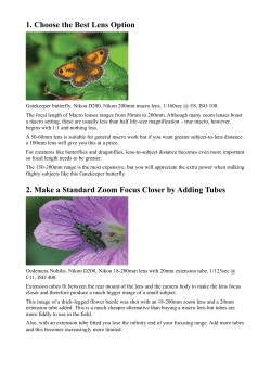 1. Choose the Best Lens Option 2. Make a Standard Zoom Focus