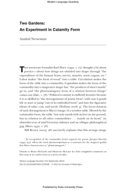 Two Gardens: An Experiment in Calamity Form