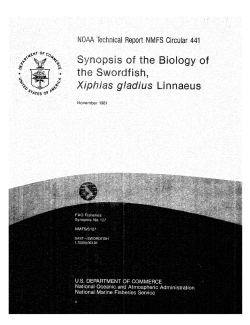 Synopsis of the biology of the Swordfish, Xiphias gladius Linnaeus