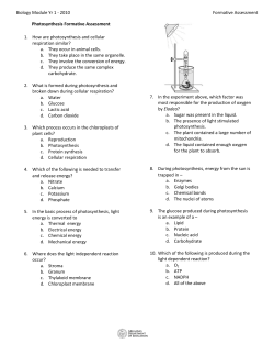 Biology Module Yr 1 - 2010 Formative Assessment Photosynthesis