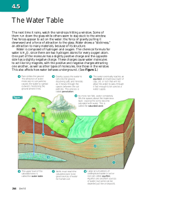 The Water Table - hrsbstaff.ednet.ns.ca
