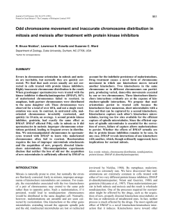 Odd chromosome movement and inaccurate chromosome