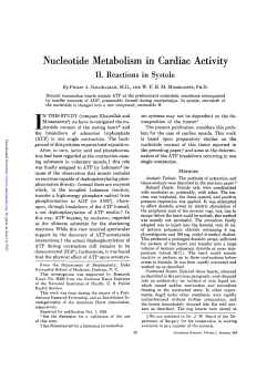Nucleotide Metabolism in Cardiac Activity