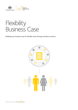 Flexibility Business Case