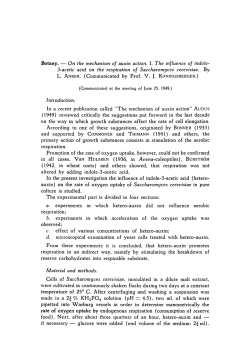 On the mechanism of auxin action. I. The influence of indole-3