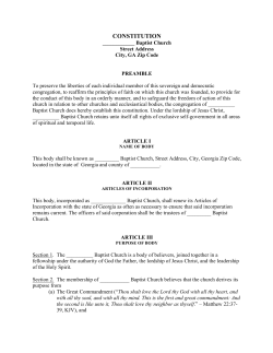 constitution 3 - Georgia Baptist Convention