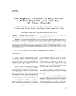 Sperm Morphological Characteristic and Mating Behaviour