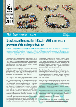 Snow Leopard Conservation in Russia - WWF experience