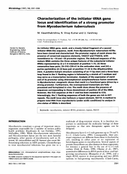 Characterization of the initiator tRNA gene locus and identification of