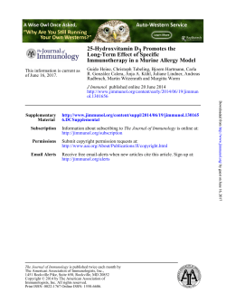 Immunotherapy in a Murine Allergy Model Long