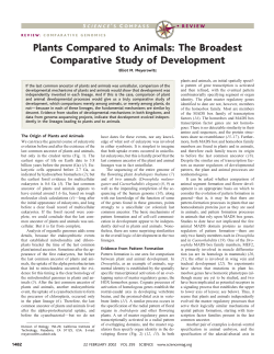 Plants Compared to Animals: The Broadest Comparative Study of