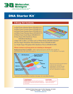 DNA Starter Kit - 3D Molecular Designs