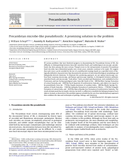 Precambrian microbe-like pseudofossils: A promising solution to the
