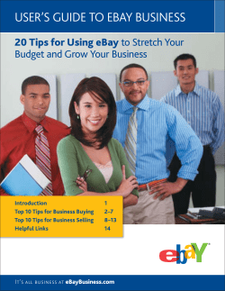 User`s GUide to eBay BUsiness